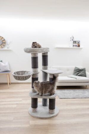 ARBRE DE CAT BENJI