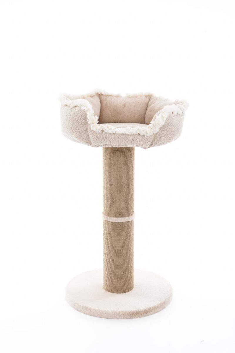 GRIFFOIR BOHO – Image 3